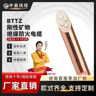 BTTZ电缆