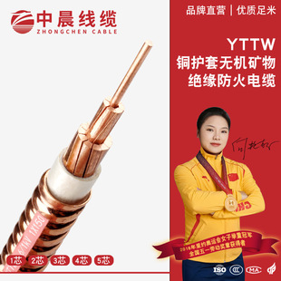 YTTW电缆